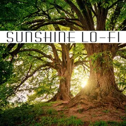 Sunshine Lo-Fi