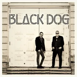 Black Dog