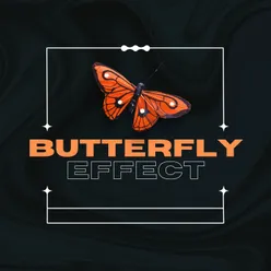 Butterfly Effect