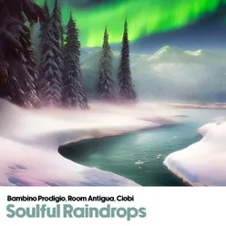 Soulful Raindrops