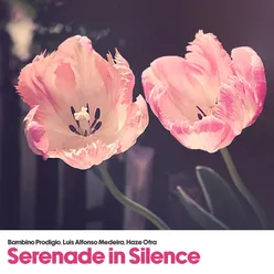 Serenade in Silence