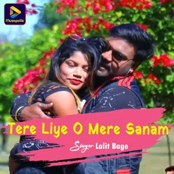 Tere Liye O Mere Sanam