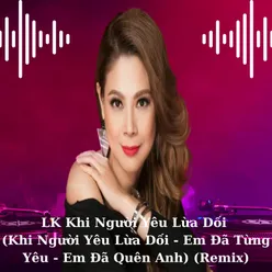 LK Khi Người Yêu Lừa Dối / Khi Người Yêu Lừa Dối / Em Đã Từng Yêu / Em Đã Quên Anh