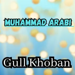 Muhammad Arabi