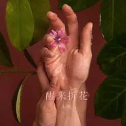 醒来折花