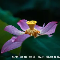 懒洋洋