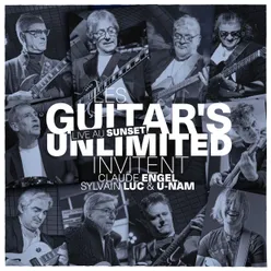 Les Guitar's Unlimited