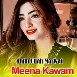 Meena Kawam