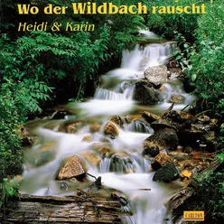 Wo der Wildbach rauscht