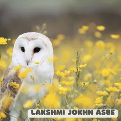 LAKSHMI JOKHON ASBE