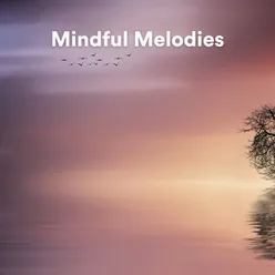 Mindful Reflection