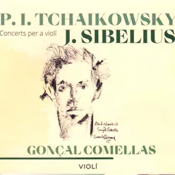 Concert per a violí en Re Major, Op. 35: II. Canzonetta