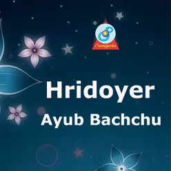 Hridoyer