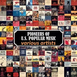 Various Artists - Vintage Vibes: Pioneers of US Popular Music