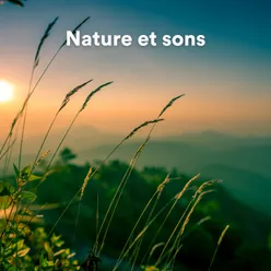 Nature et sons, pt. 10