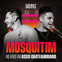 Mosquitim