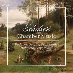 Schubert: Chamber Music