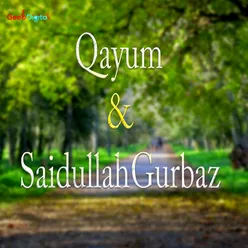 Qayum Aw Saidullah Gurbaz