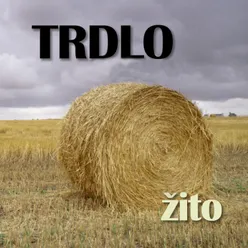 Žito