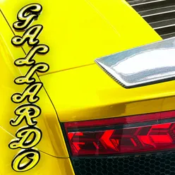 Gallardo