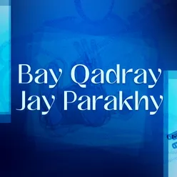 Bay Qadray Jay Parakhy