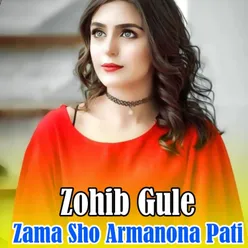 Zama Sho Armanona Pati