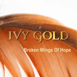 Broken Wings of Hope