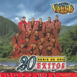 20 Exitos De Oro