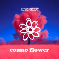 cosmo flower