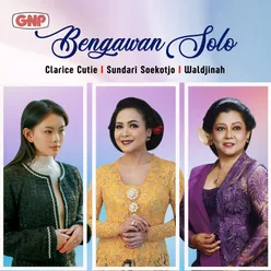 Bengawan Solo