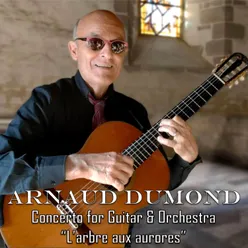 Concerto for Guitar & Orchestra "L'arbre aux aurores"