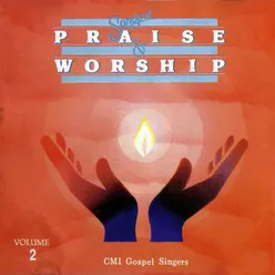 Songs Of Praise & Worship, Vol. 2