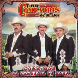 Corrido Del Sapo