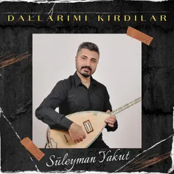 Dallarımı Kırdılar