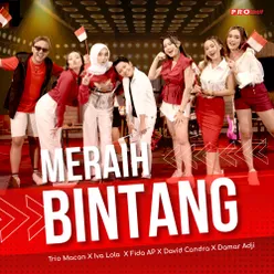 Meraih Bintang