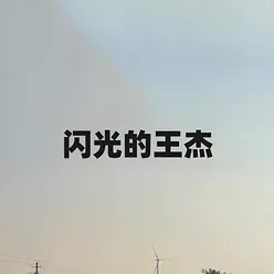 闪光的王杰