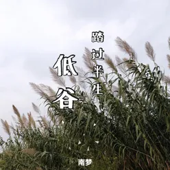 踏过半生低谷