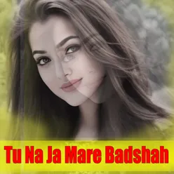 Tu Na Ja Mare Badshah