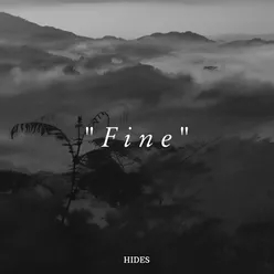 Fine