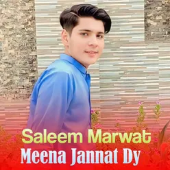 Meena Jannat Dy