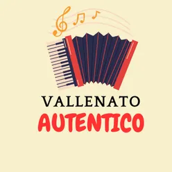 Vallenato autentico