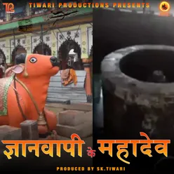 Gyanvapi Ke Mahadev