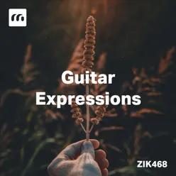 Guitar Expressions