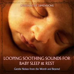 Looping Gentle Ocean Waves (Womb)