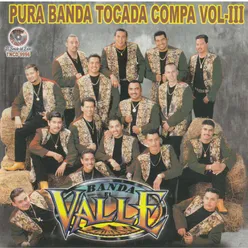 Pura Banda Tocada Compa, Vol. 3