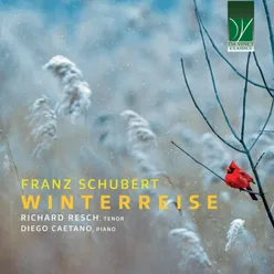 Winterreise, D.911: No. 7, Auf dem Flusse (On the River)