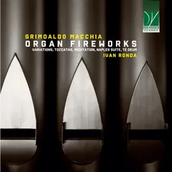 Grimoaldo Macchia: Organ Fireworks