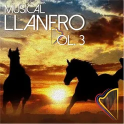 Musical Llanero Vol.3