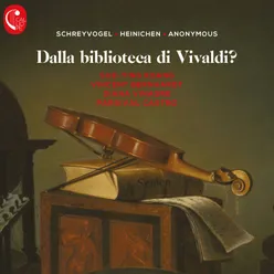 Sonata for Violin and Continuo in D Major: III. [Perfidia]