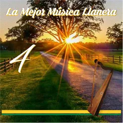 La Mejor Música Llanera Vol.4